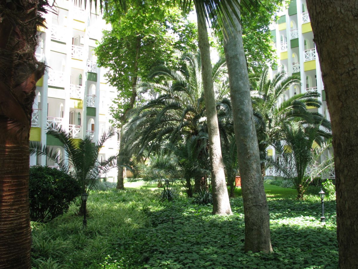 imagini hotel DELPHIN BOTANIK